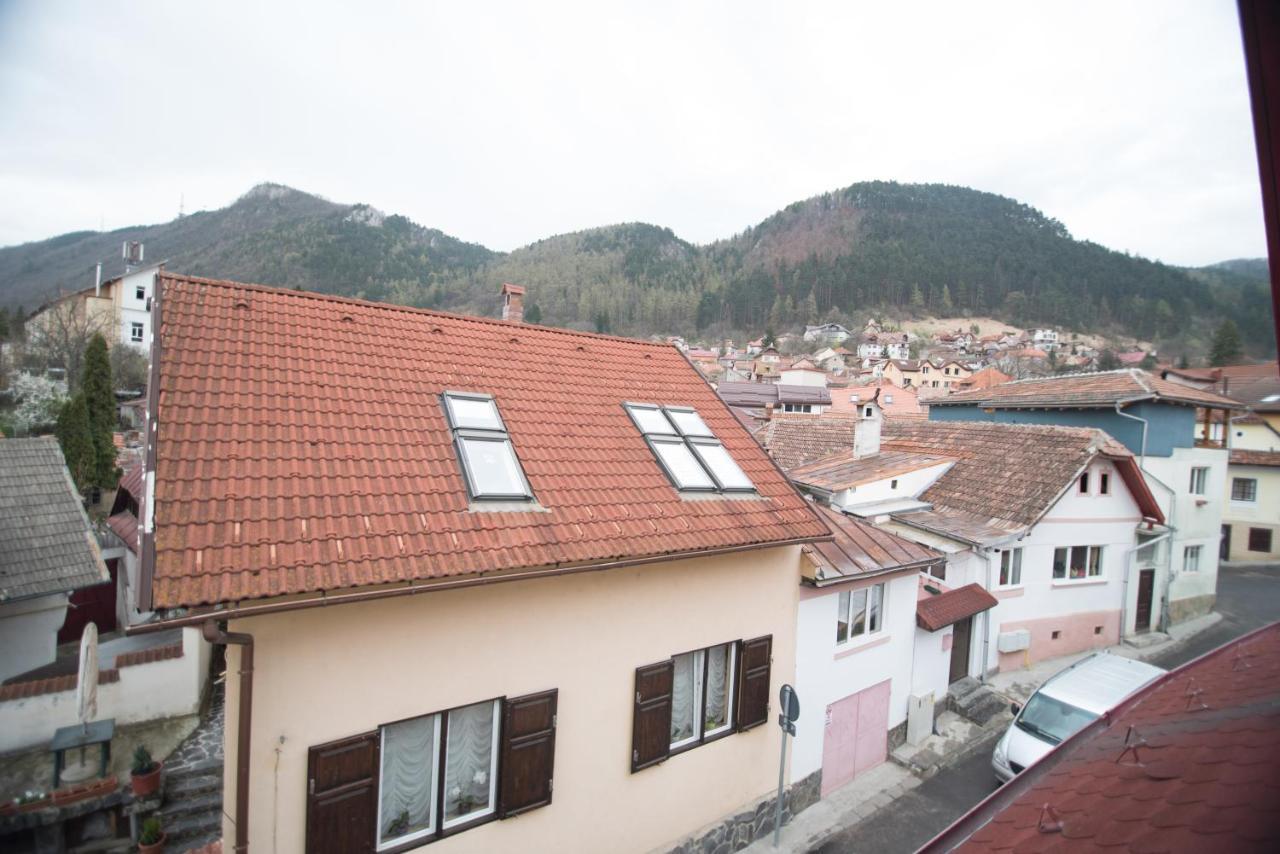 Transylvania Guest House Brasov Exterior photo